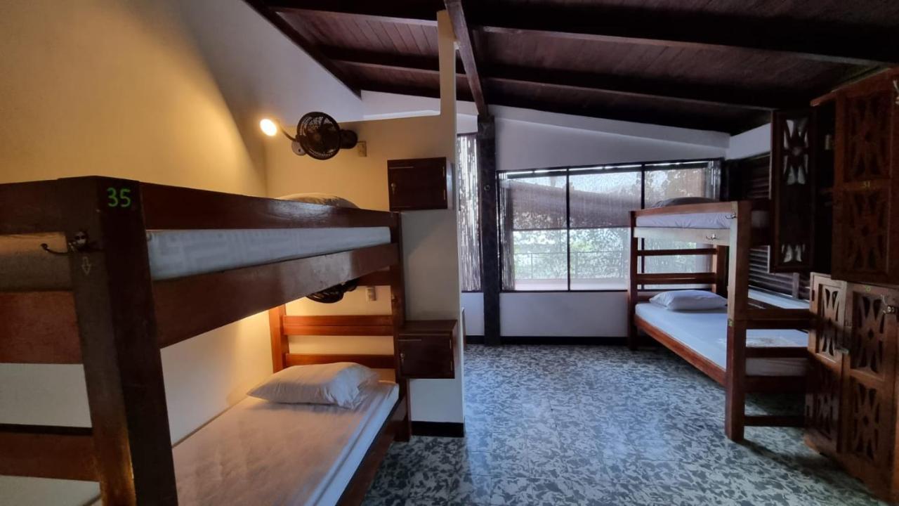 Paradiso * La Laguna